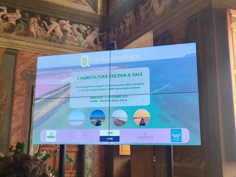Salicoltura, Satta “Grazie a saline Sardegna ancora protagonista”