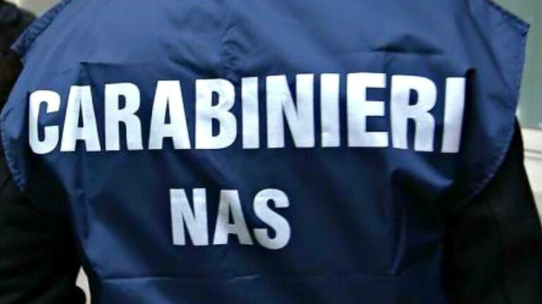 Nas sequestra 4 quintali di sushi nel reggino