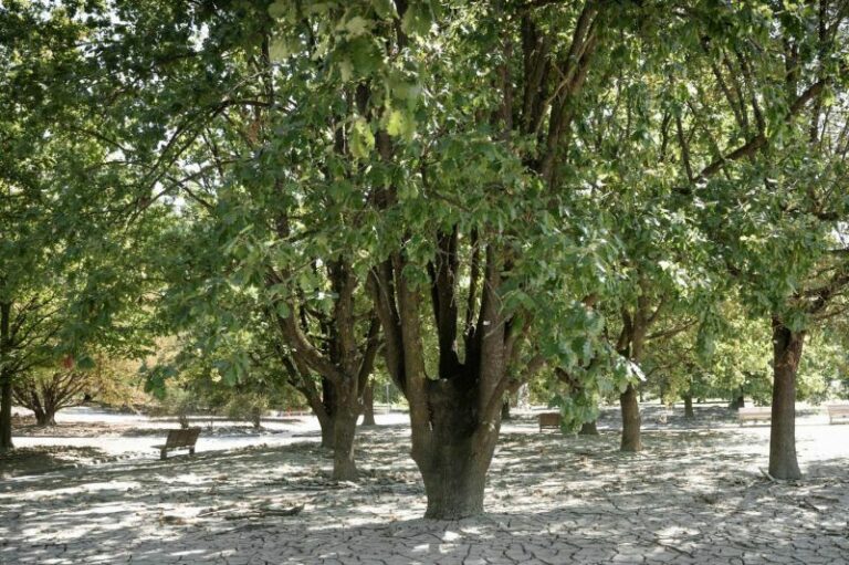 Dal 1° ottobre tornano in Emilia-Romagna misure per la qualità dell’aria