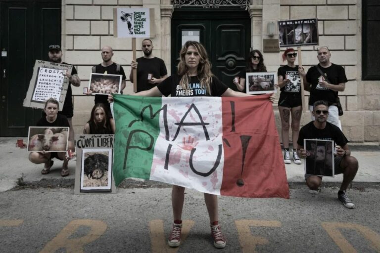 Malta, protest against the killing of pigs in Lombardy