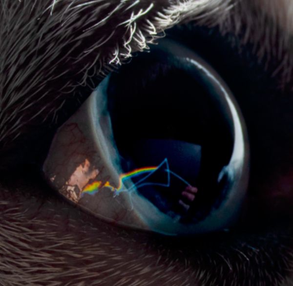 Roger Waters pubblica “The Dark Side of the Moon Redux”