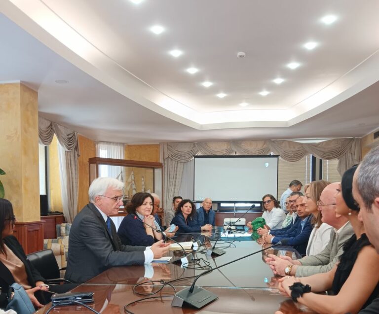 Consiglio Campania, Raia incontra delegazione Adjarae