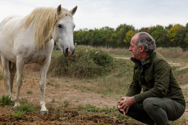 Zaia “Fiocchi rosa e azzurri per il cavallo del Delta”