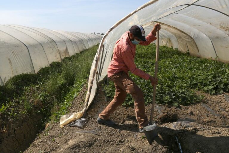 Italy-Tunisia agree on 4,000 non-seasonal workers per year