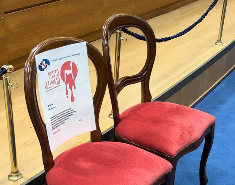 Campania contro la violenza sulle donne, si chiude “Posto Occupato”