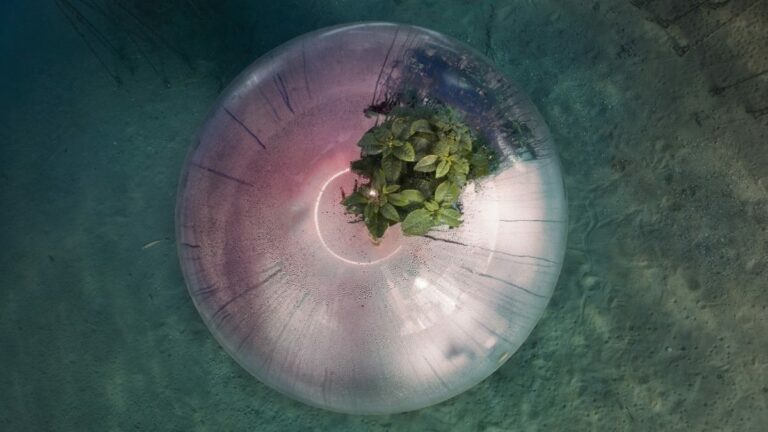 “Luca Locatelli. The Circle” – Soluzioni per un futuro possibile