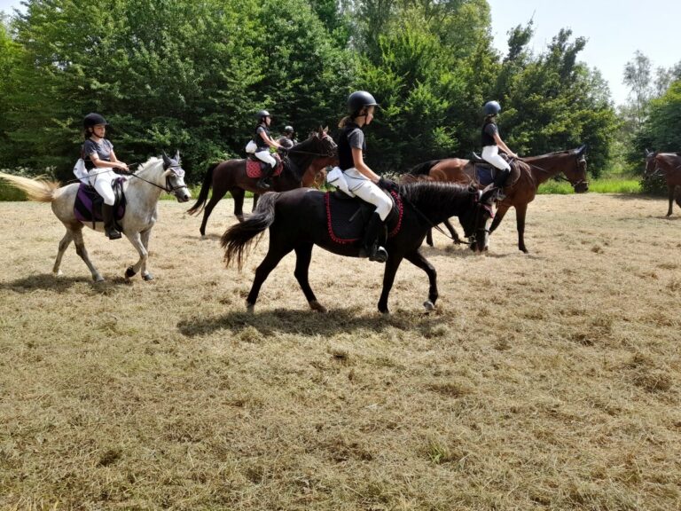 170 Eventi e 75 corsi gratuiti per “Salta Cori Zoga” e “Sprint”