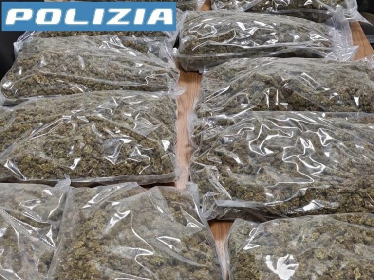 Monza, un arresto per detenzione a fini spaccio di 15 kg di marijuana