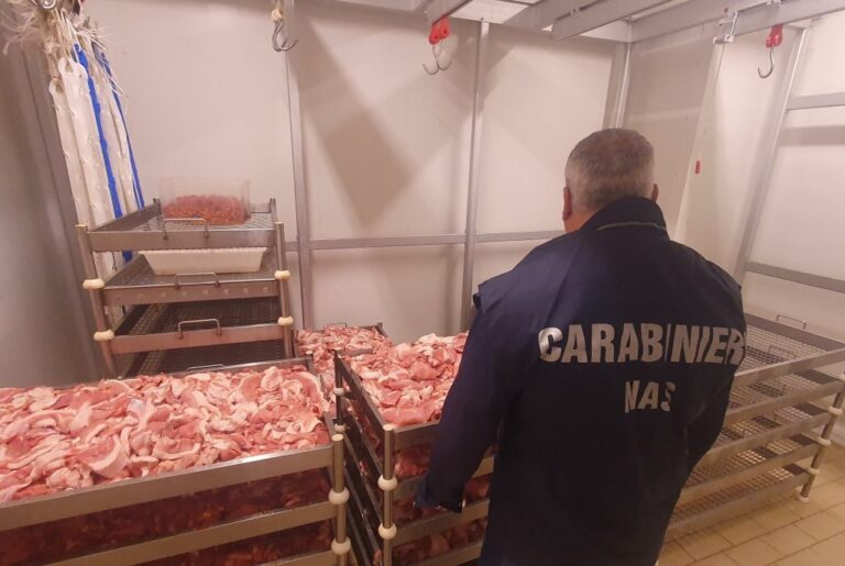 Nas sequestrano 2 tonnellate di salumi e carne a Reggio Calabria