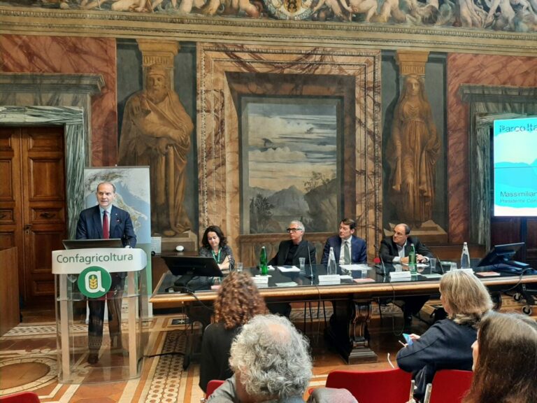 Al via Parco Italia, 70.000 alberi verranno piantati entro fine 2024