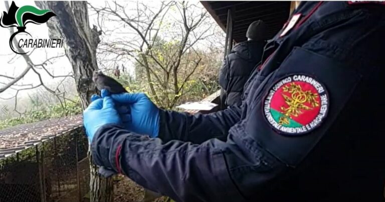 Antibracconaggio tra Lombardia e Veneto, 123 denunce e due arresti