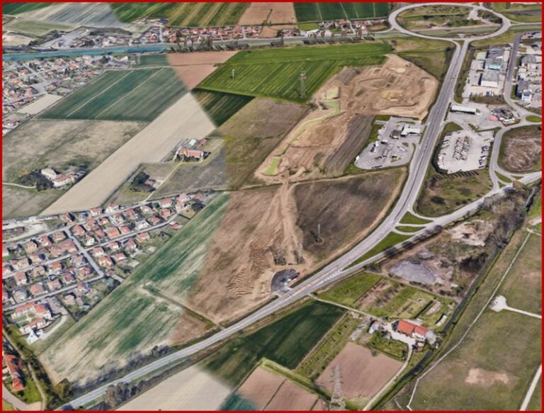 Oltre 14.000 alberi per riforestare il parco del bacino di Malcontenta