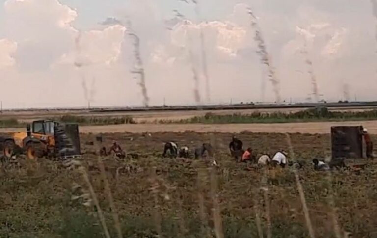 Sfruttamento del lavoro e caporalato, 16 indagati tra Caltanissetta e Agrigento