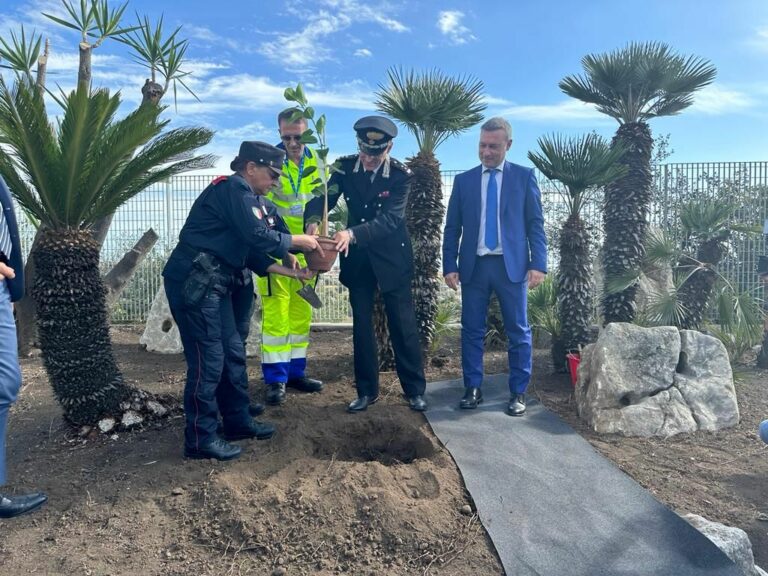 Anas e Carabinieri piantano “Albero di Falcone” nel Catanese