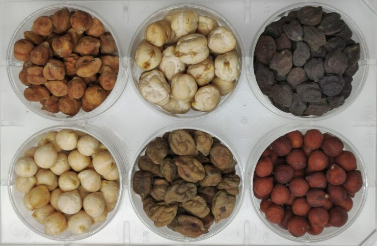 Increase, al via iscrizioni 4^ round Citizen Science Experiment