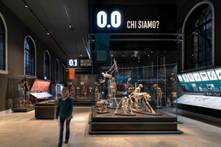 Museo di storia naturale di Milano, svelato allestimento Sala dell’Uomo