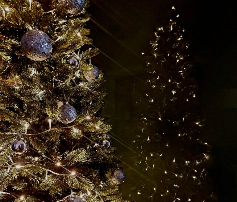 Buon Natale dall’agenzia Italpress