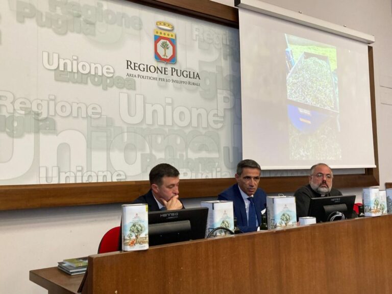 Puglia, dipartimento agricoltura dona 500 litri olio evo alla Caritas