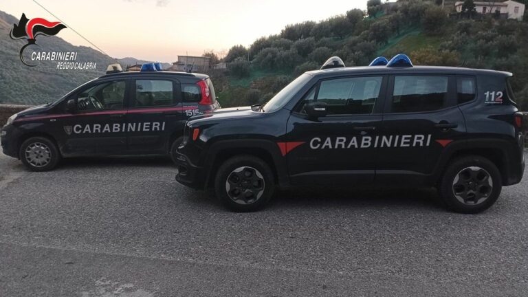 Smaltimento illecito di rifiuti, nel Reggino denunciati 10 produttori di olio