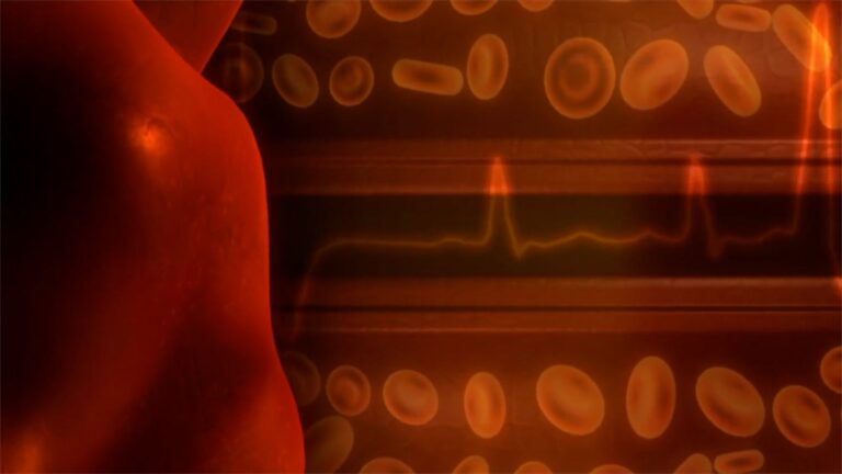 Malattie cardiovascolari nei bambini, attenzione ai segnali