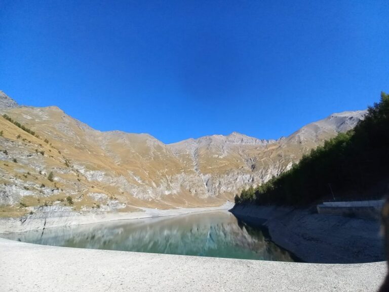 Diga di Rochemolles, impegno città Torino per recuperare i pesci