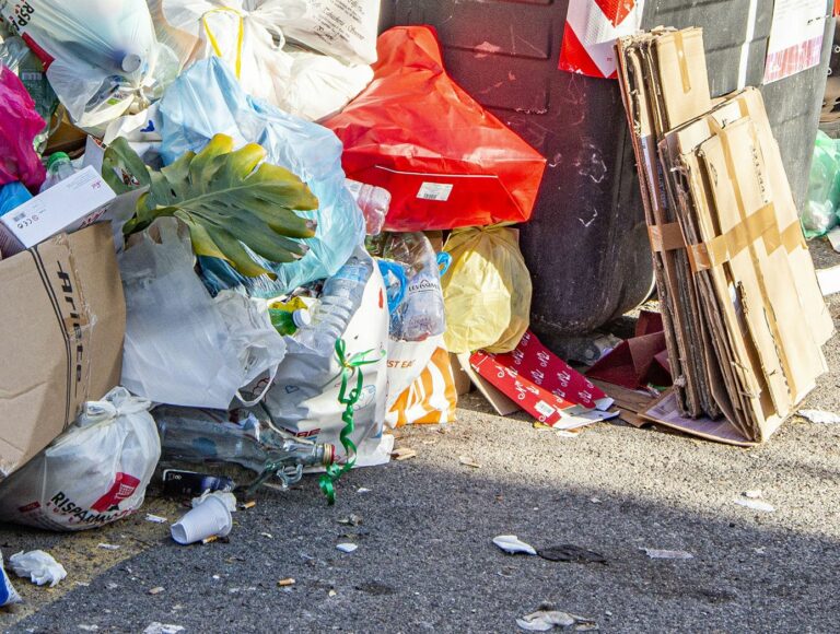 Economia circolare, corso gratuito per under35 in Lombardia e Veneto