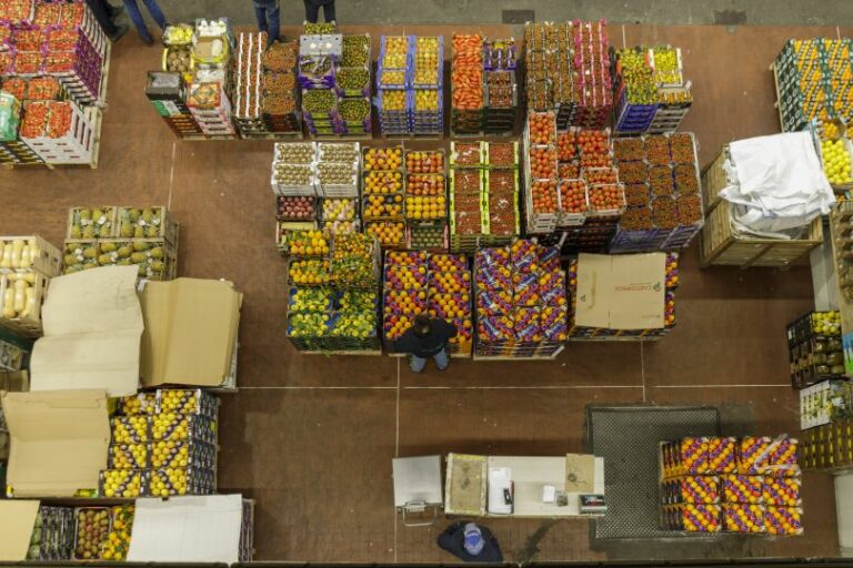 Settore agroalimentare in miglioramento nel terzo trimestre 2023