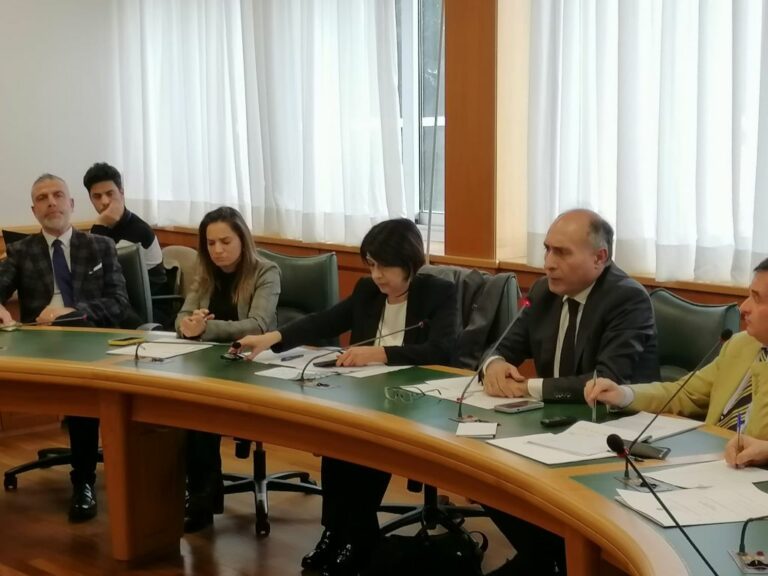 Angelilli aggiorna sulla questione Stellantis in XI commissione