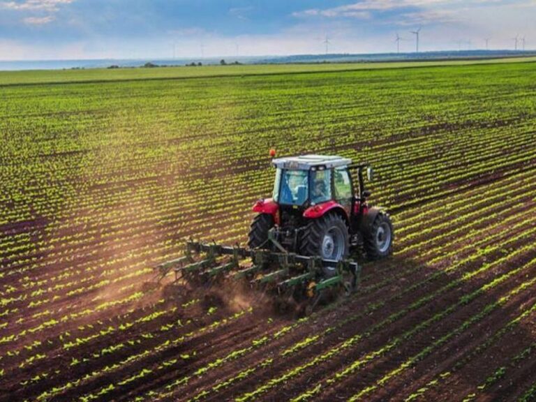 Produttività, reddito e sostenibilità, agricoltori sollecitano Bruxelles