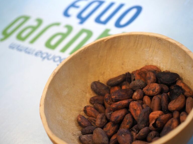 Fiere, a Milano Cont-Act. Commercio equo e sostenibile in azione