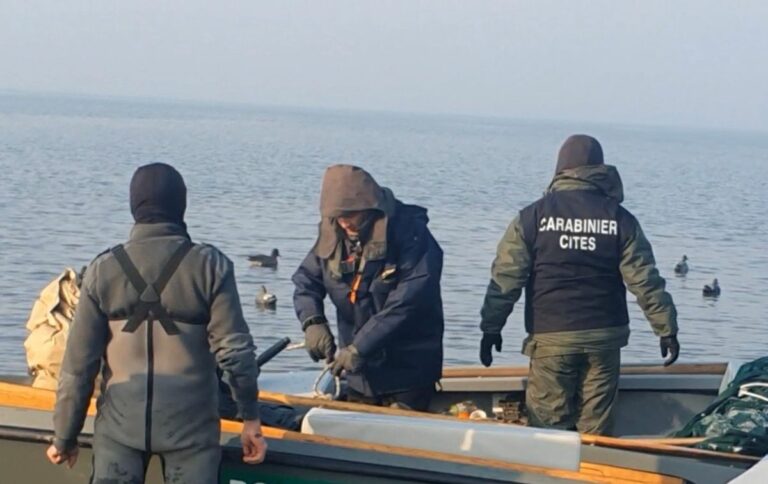 Operazione “Delta del Po” a salvaguardia fauna selvatica, 9 denunciati