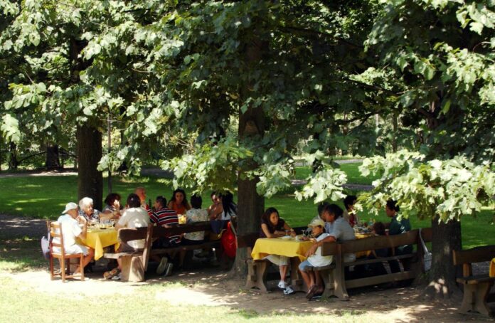 LENNO VAL BREMBANA AGRITURISMO FERDY GITA FUORIPORTA GENTE CHE PRANZA ALL'APERTO AGOSTO VACANZE