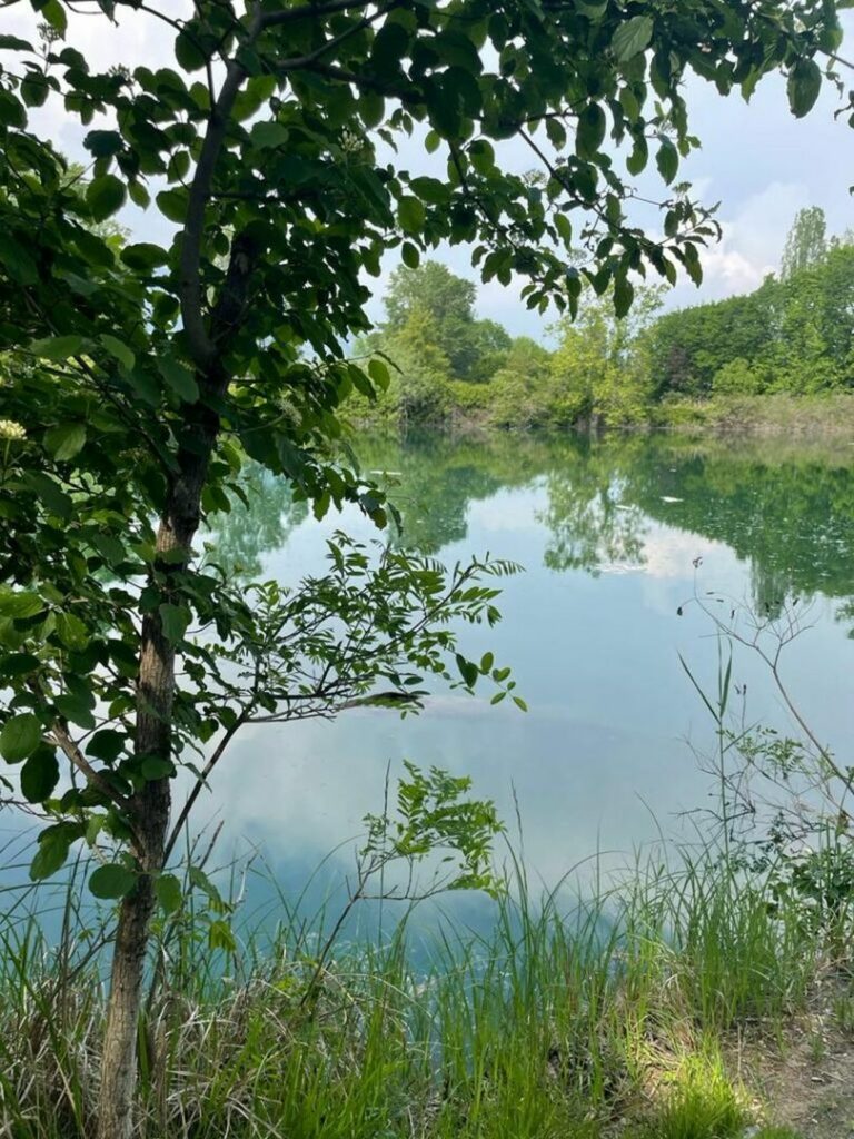 Lombardia, rapporto Ersaf “Una foresta di oltre 600mila ettari”