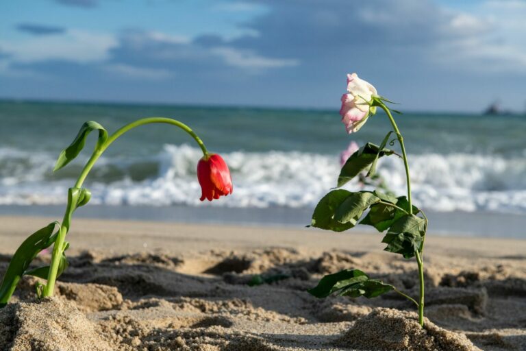 Cutro, un anno fa la strage in mare