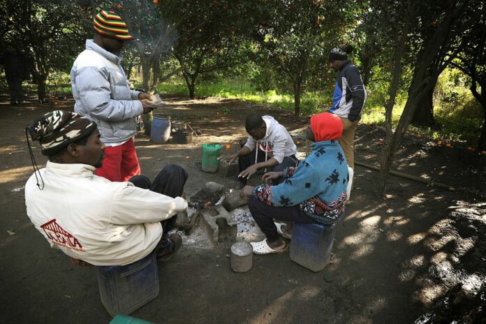 caporalato e sfruttamento dei migranti in agricoltura