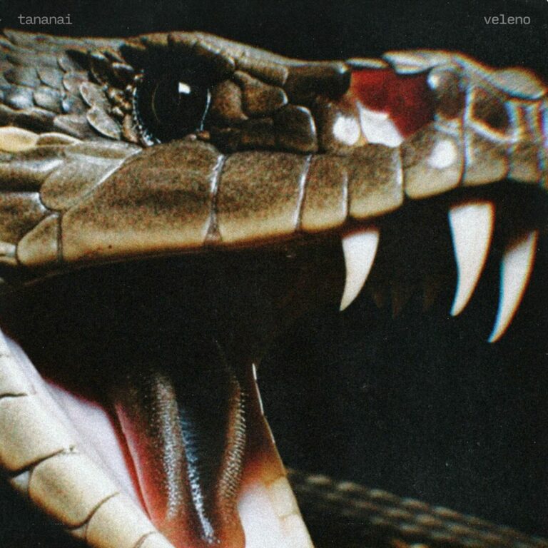 Tananai, esce oggi il nuovo singolo “Veleno”