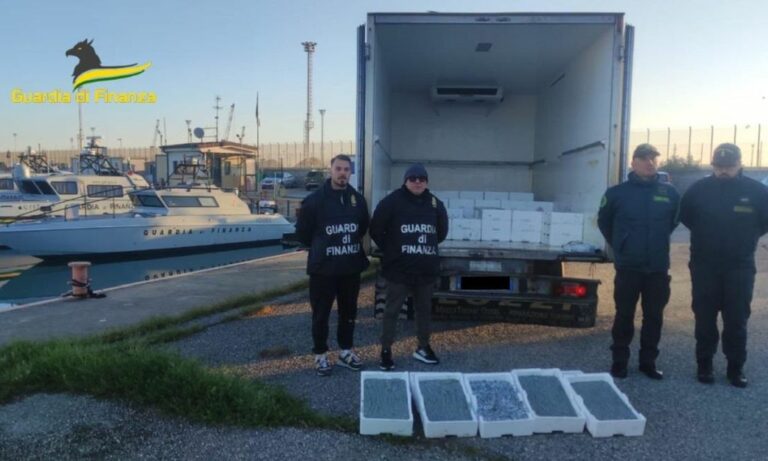 Sequestrati a Corigliano-Rossano 17 quintali di novellame