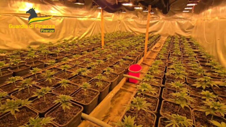 Scoperta a Firenze una “fabbrica della droga”, un arrestato