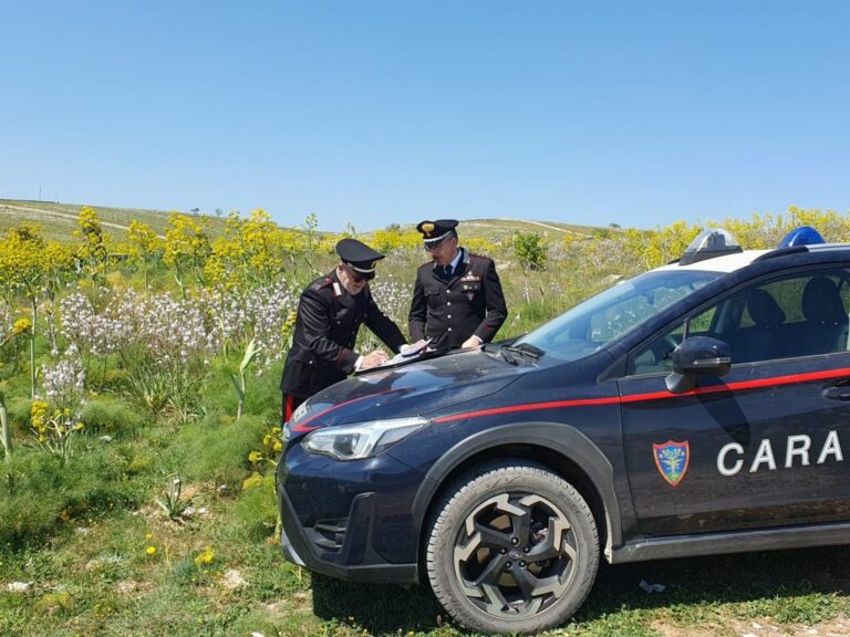 Parco Alta Murgia, scoperta”Truffa dei pascoli” all’Ue per 400 mila euro