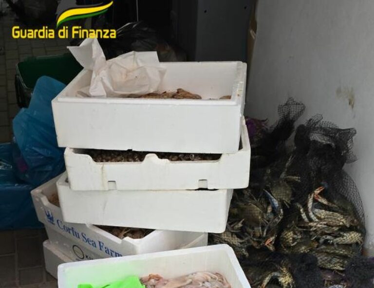 Modena, sequestrati 120 kg di prodotti ittici non tracciati