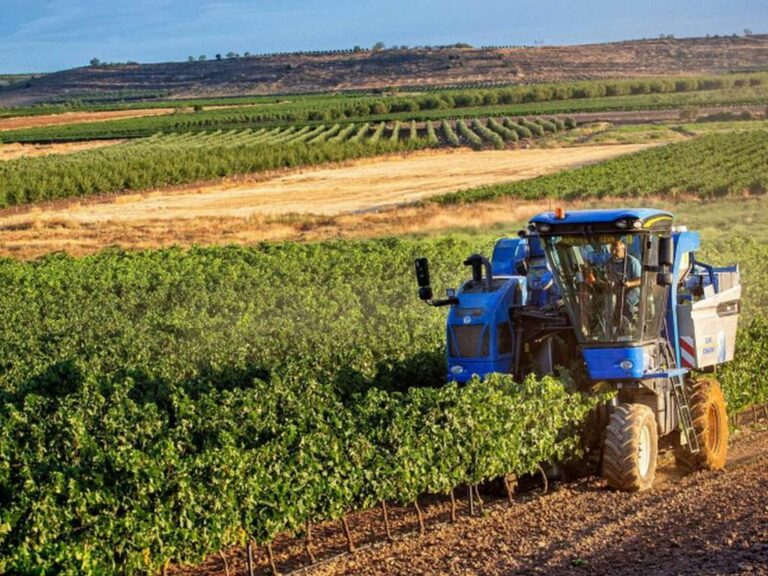 Aziende agricole calabresi, in pagamento 40 milioni per domanda unica