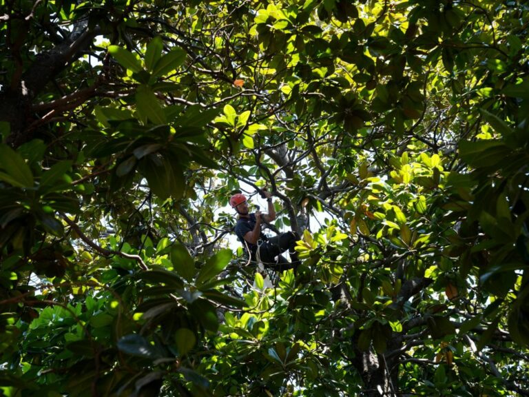Biodiversità in aree protette, ok a progetti in Liguria