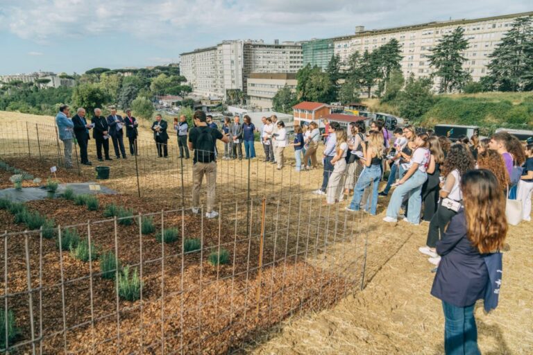Università Cattolica, 80 piante officinali nel campus di Roma