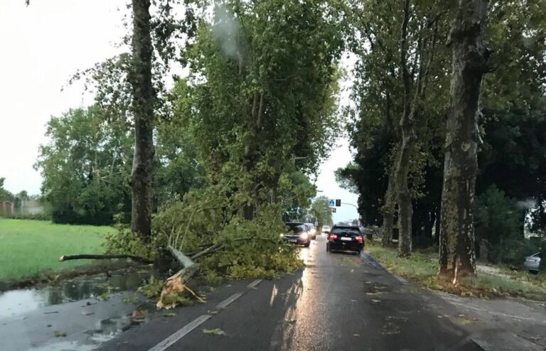 Maltempo, Zaia “Oltre 20 squadre di protezione civile in azione”