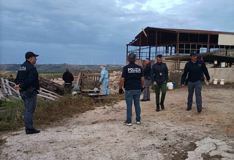 Mafia delle campagne nell’Agrigentino, perquisiti ovili e aziende agricole