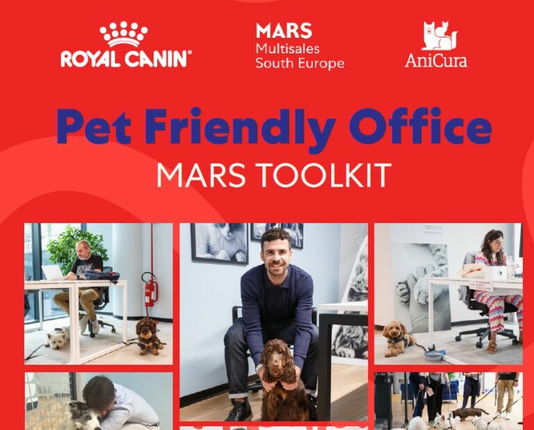 Giornata mondiale del cane in ufficio, arriva il manuale per rendere i propri uffici pet-friendly
