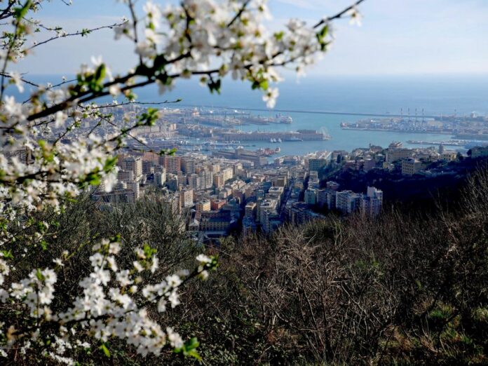 Niente valutazione di impatto ambientale per la funivia dei forti. il nuovo collegamento turistico voluto dal Comune di Genova che collegherà Principe con Forte Begato