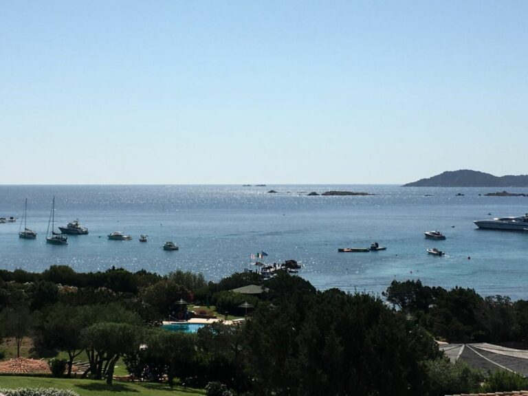 Art For Climate, capolavori all’asta in Sardegna a tutela dei mari