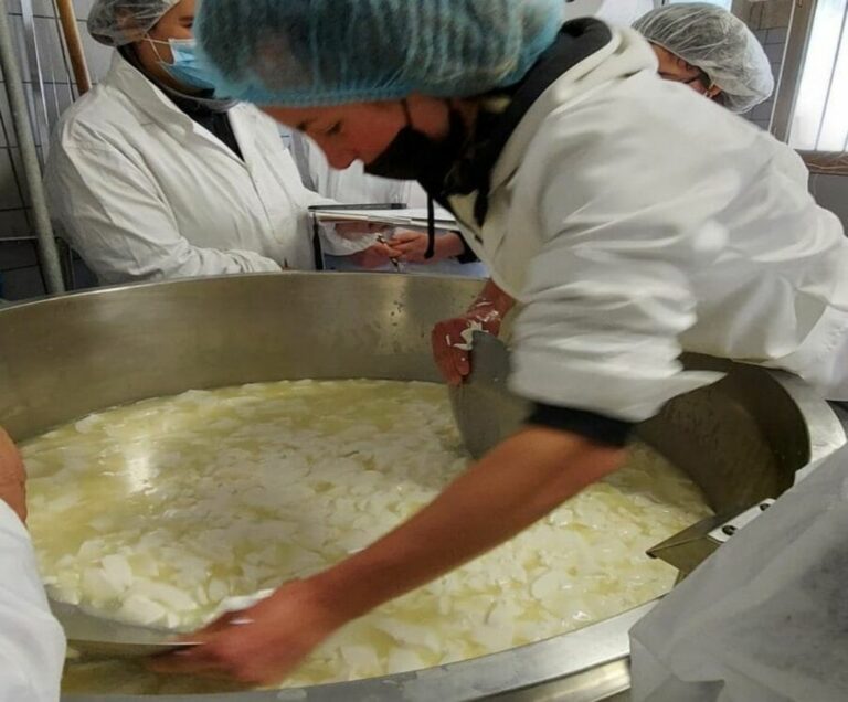 Casaro d’alpeggio, al via i corsi patrocinati da Ersaf Lombardia