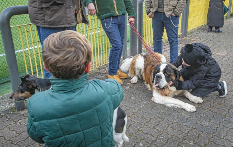 In Liguria nasce un progetto di zooantropologia didattica